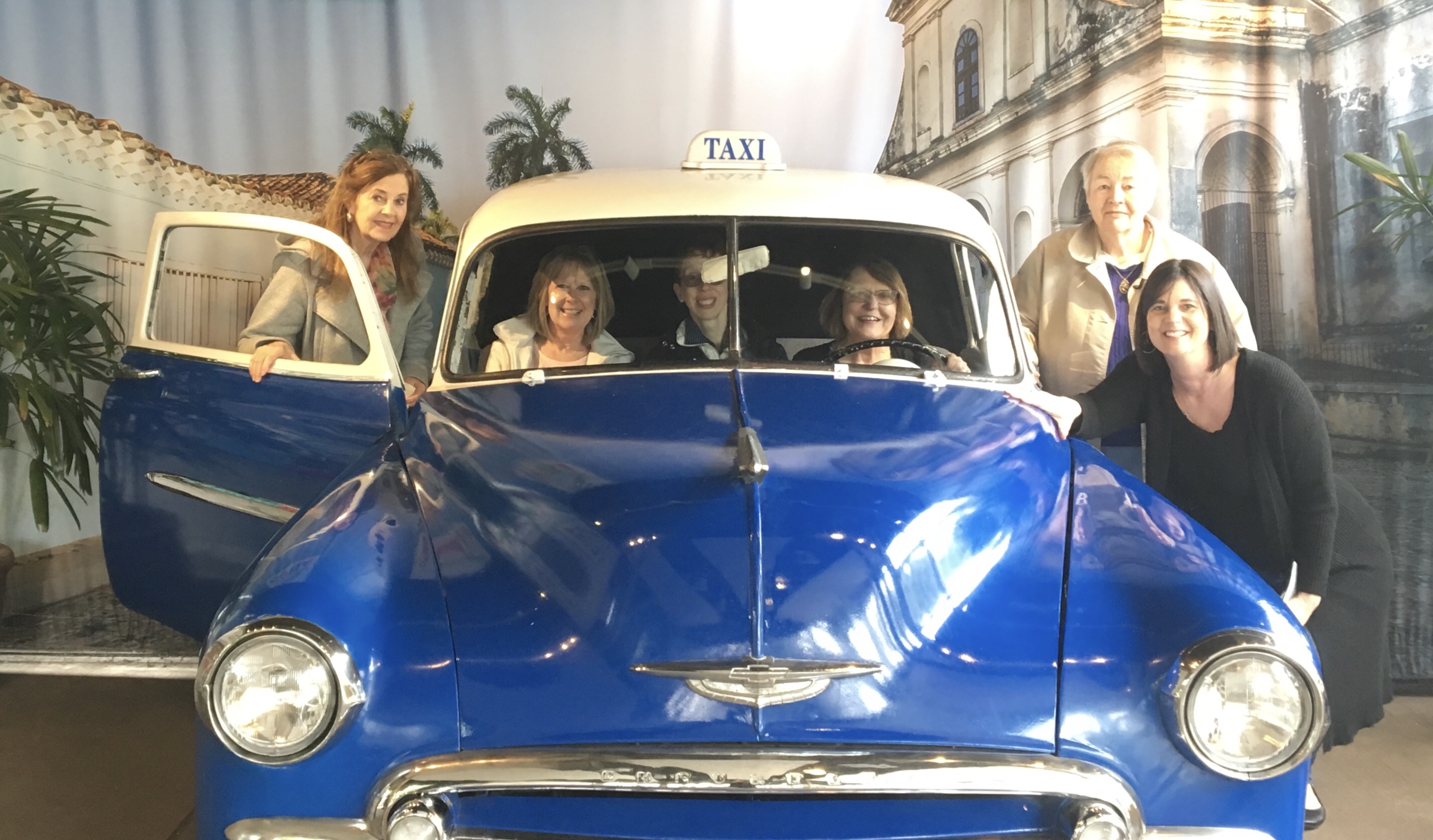 What Have I Done❓ What Have I Done❓