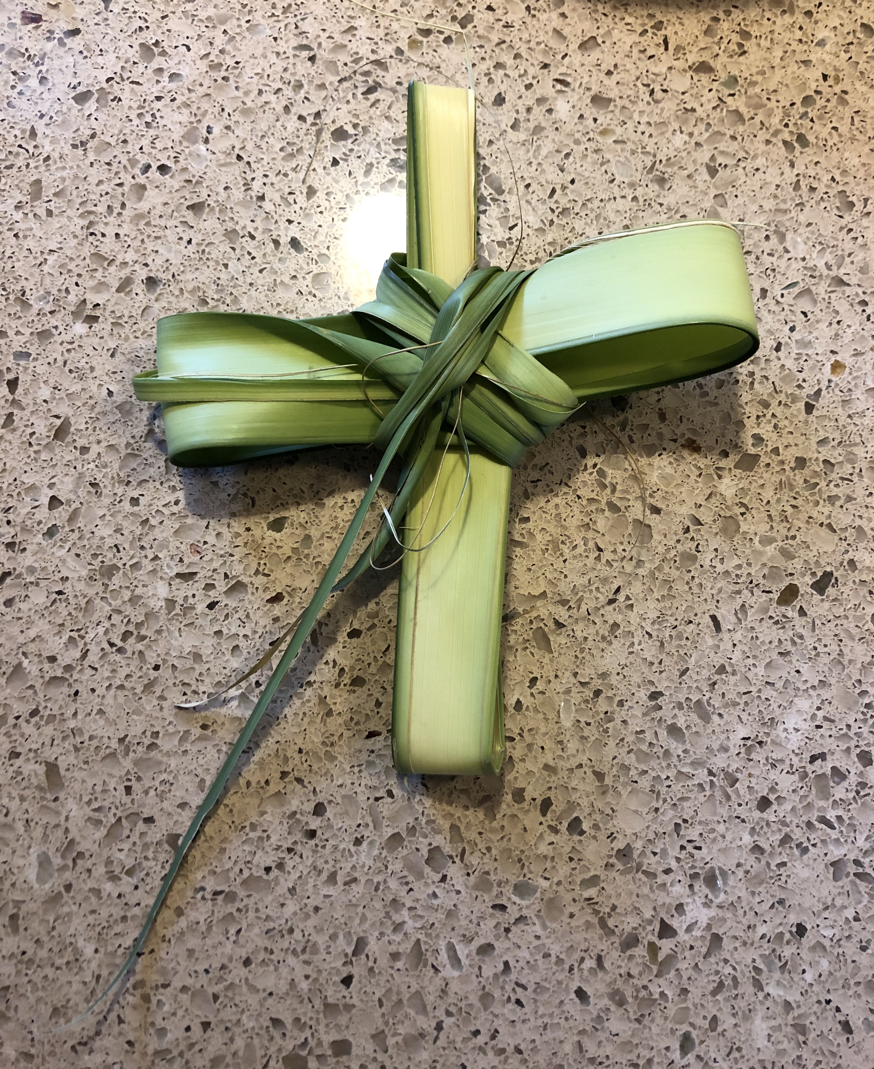 Transformed Transformed